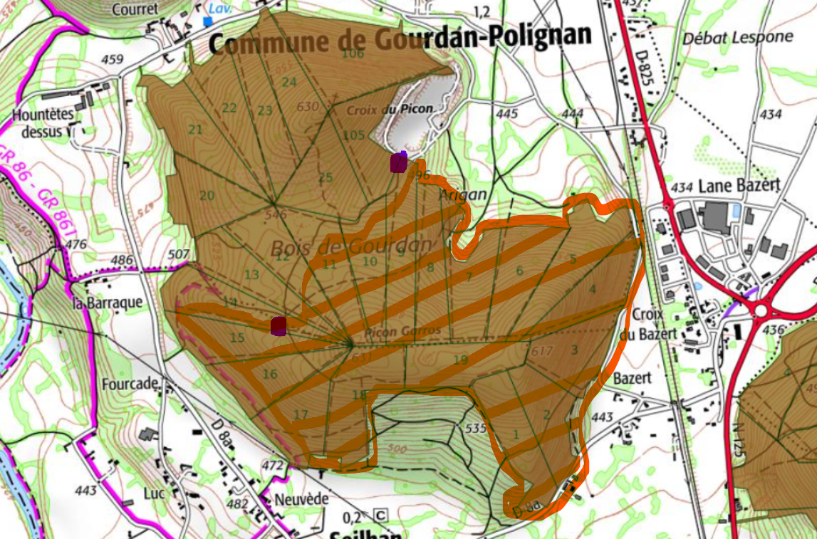Forêt communale – interdiction d’accès