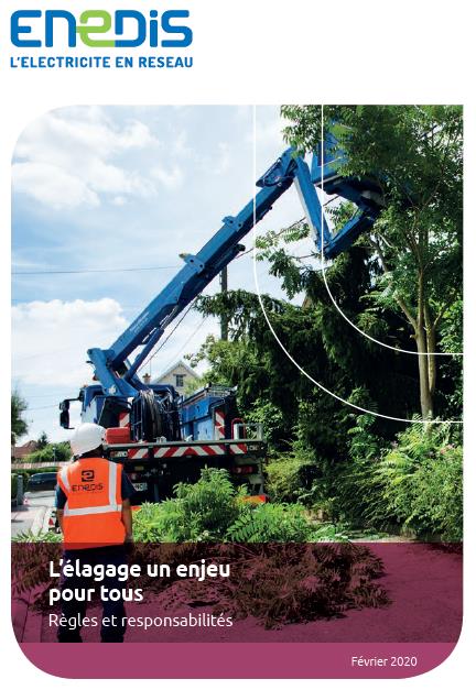 Information : Élagage aux abords des lignes électriques